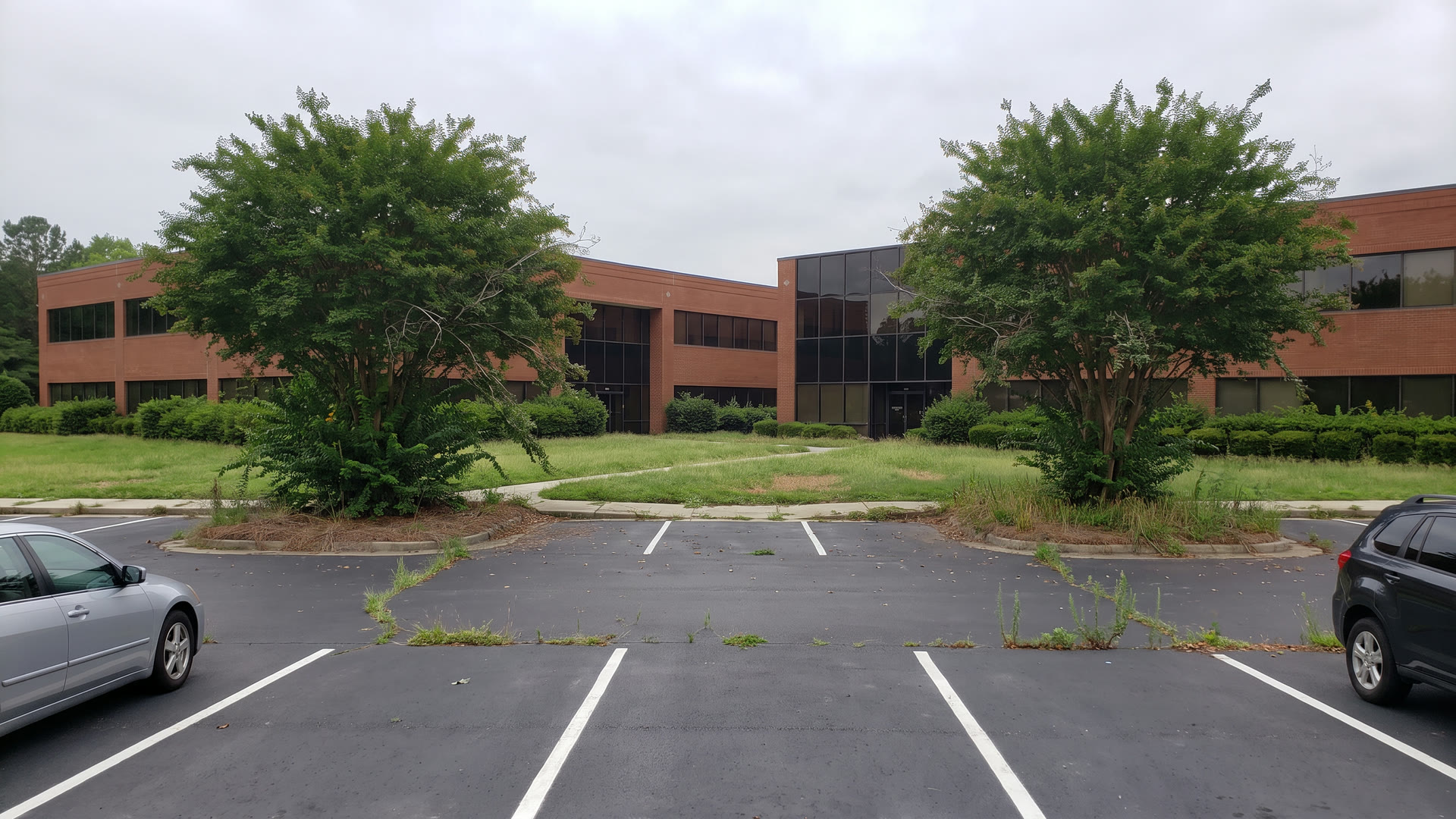 Before: Neglected commercial property with overgrown landscaping